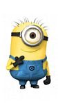 pic for minion 